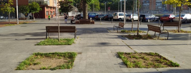 Tesoro verde de Zaramaga: ¿descuidado?