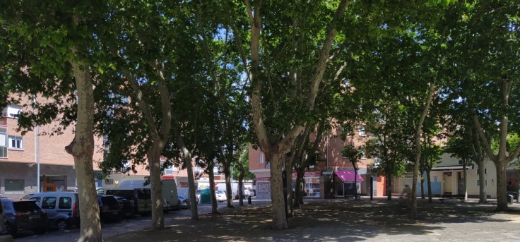 Los alcorques del Tesoro verde de Zaramaga se&nbsp;renuevan